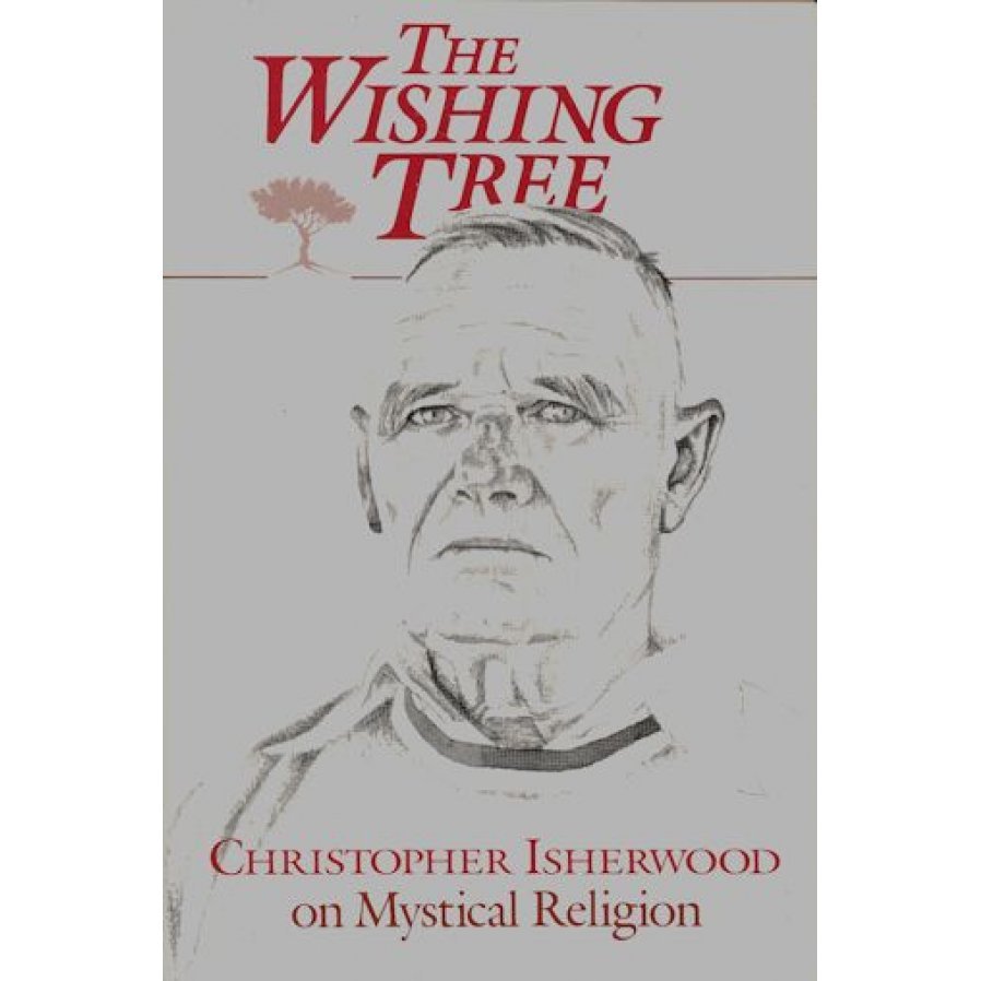 wishtree paperback